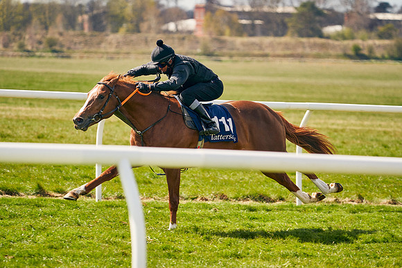 2021-04-12-Dominic-James-Craven-Breeze-Up-Sales-1072