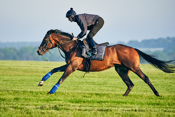 Megallan under Rab Havlin