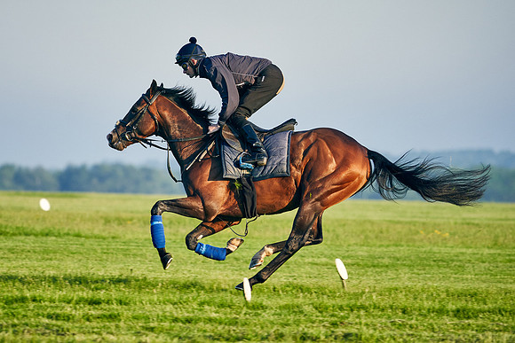 Megallan under Rab Havlin