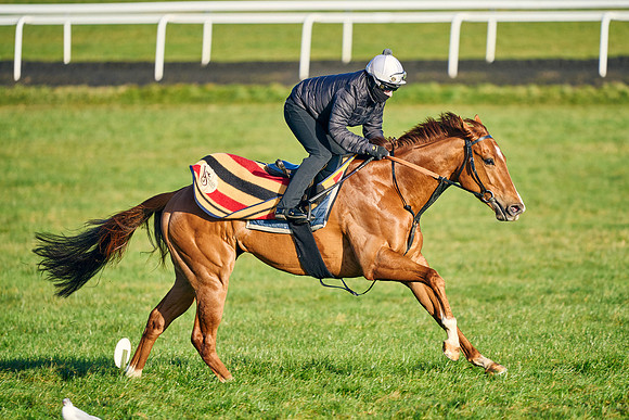 2022-03-12-Dominic-James-2953