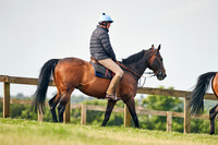 2021-06-22-Dominic-James-0857