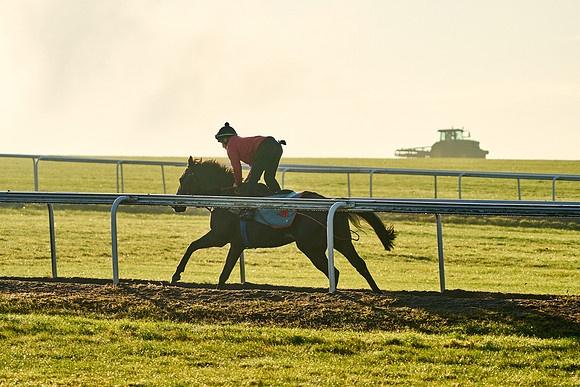 2022-10-13-Dominic-James-4872