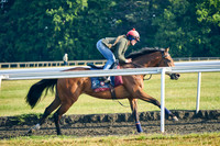 1st June 22 Warren Hill 011
