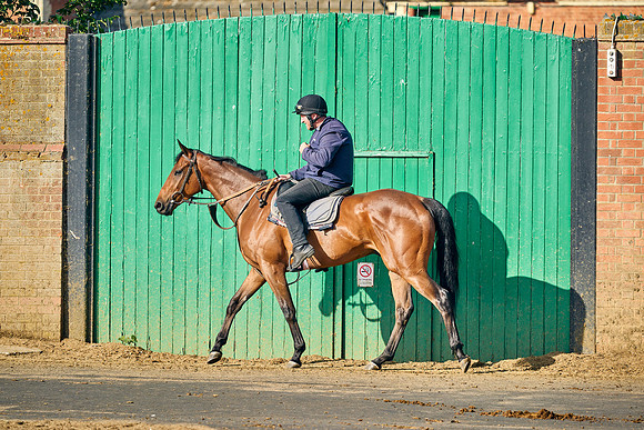 2022-07-05-Dominic-James-2833