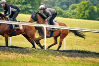 2022-07-01-Dominic-James-3002