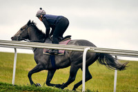 1st July 22 Warren Hill 008