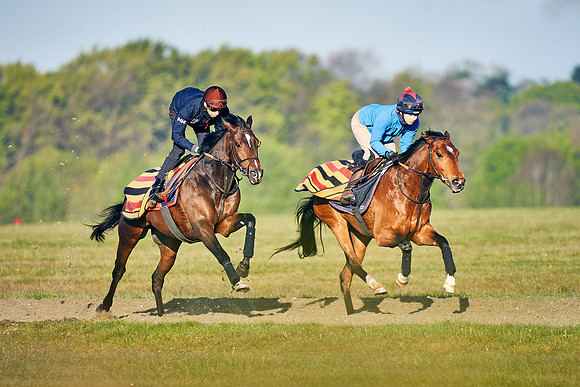 2021-05-05-Dominic-James-4419