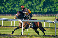 1st June 22 Warren Hill 008