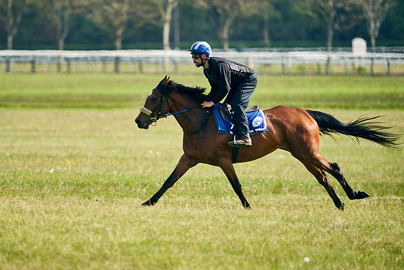 2021-05-26-Dominic-James-3545