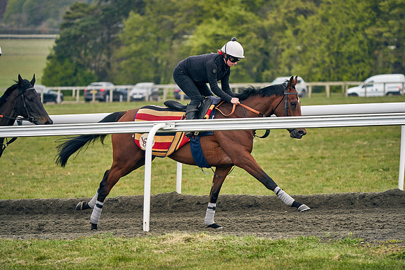 2021-04-28-Dominic-James-TBA-4252