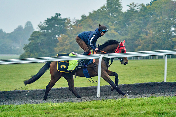2022-10-13-Dominic-James-0908