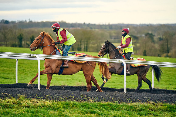 2022-02-01-Dominic-James-3218