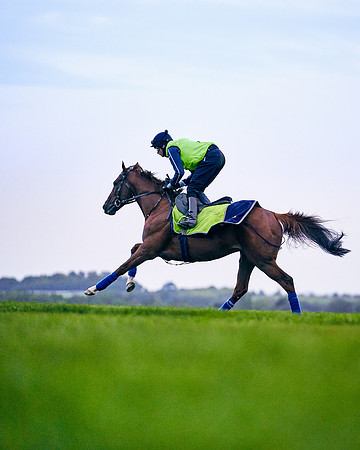 26th-Sept-Dominic-James-02851