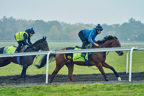 2022-10-13-Dominic-James-0798