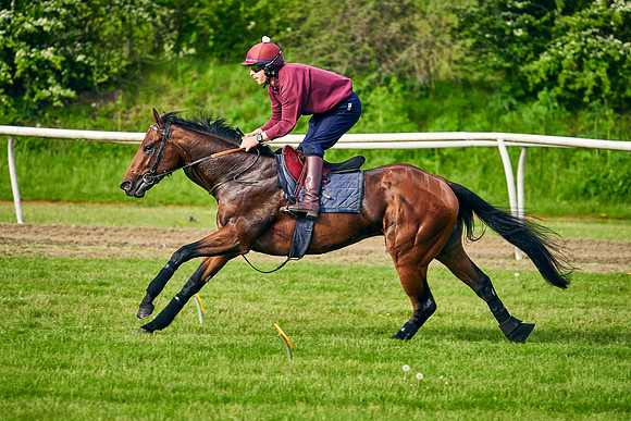 The Lir Jet