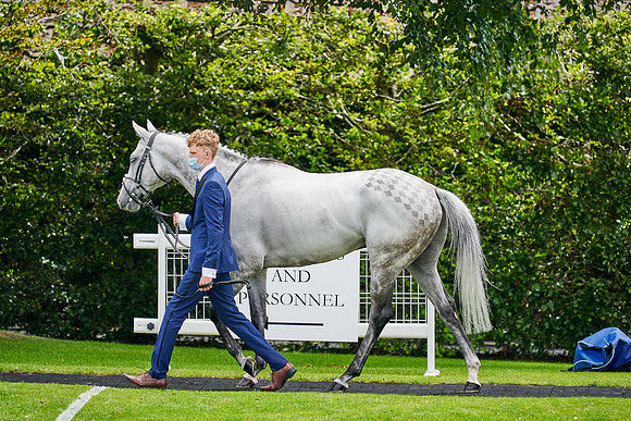 QGF2020_DominicJames-000495