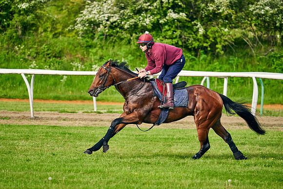 The Lir Jet