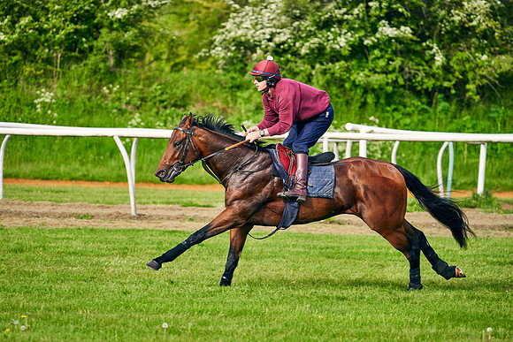 The Lir Jet