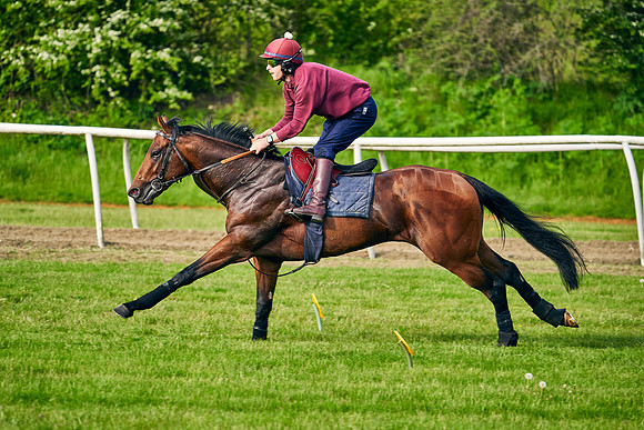 The Lir Jet