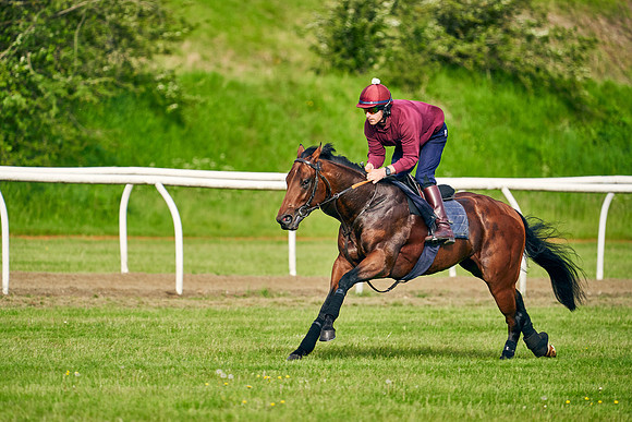The Lir Jet