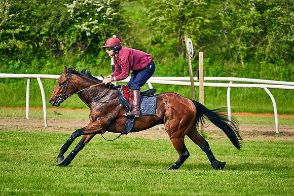 The Lir Jet