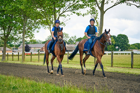 Flotus 2022-06-13-Dominic-James-1076
