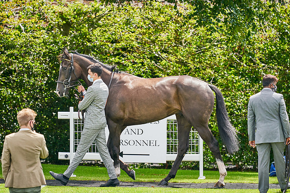 QGF2020_DominicJames-000552
