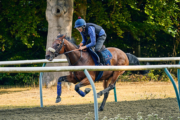 2022-07-23-DominicJames-3447