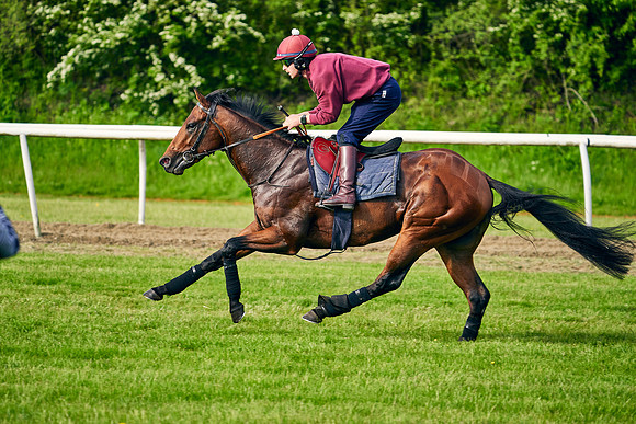 The Lir Jet