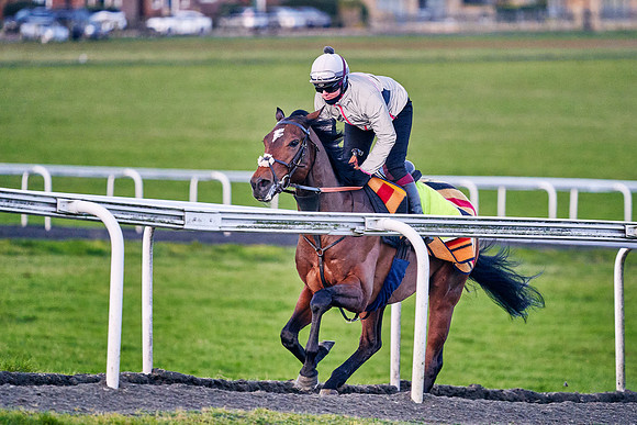 2021-03-12-Dominic-James-0037