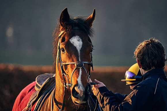 2021-02-27-Dominic-James-1565