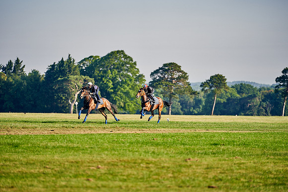 16th-June-Dominic-James-0554-enable