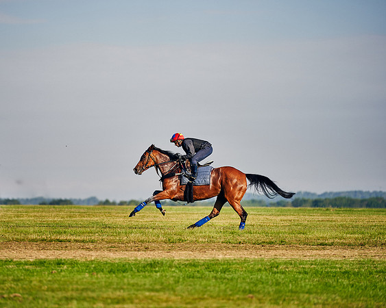 16th-June-Dominic-James-0598-enable