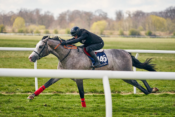 2021-04-12-Dominic-James-Craven-Breeze-Up-Sales-0673