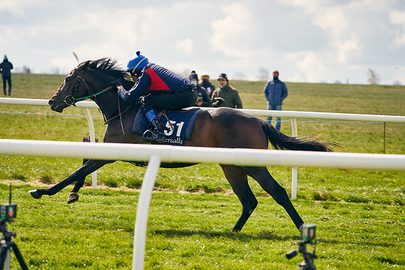 2021-04-12-Dominic-James-Craven-Breeze-Up-Sales-0689