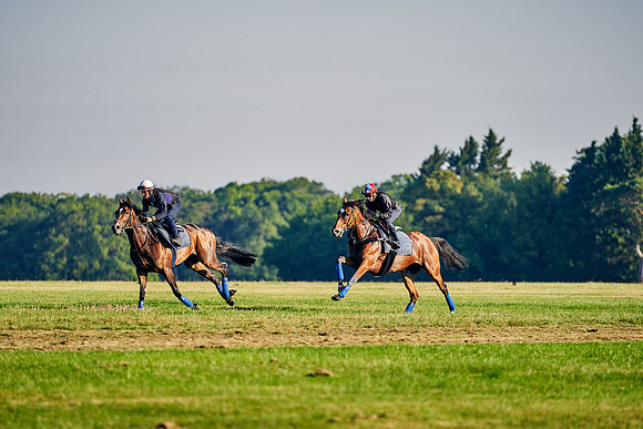 16th-June-Dominic-James-0566-enable