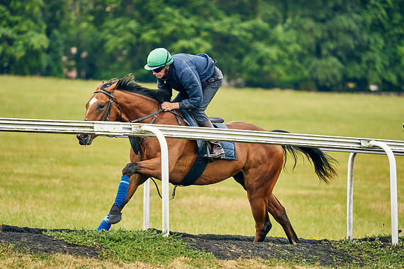 2022-06-29-Dominic-James-3506