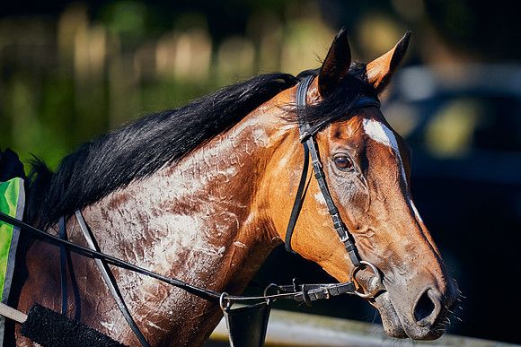 20th-May-DJ-2086-enable