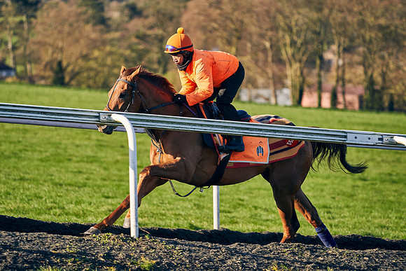 2021-04-06-Dominic-James-7002