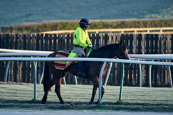 2021-04-15-Dominic-James-0306