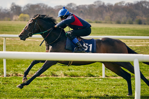 2021-04-12-Dominic-James-Craven-Breeze-Up-Sales-0684