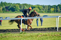 11th June 22 Warren Hill 004