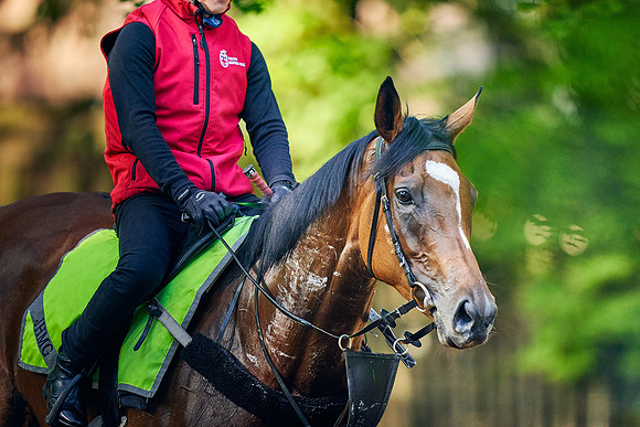 20th-May-DJ-2074-enable