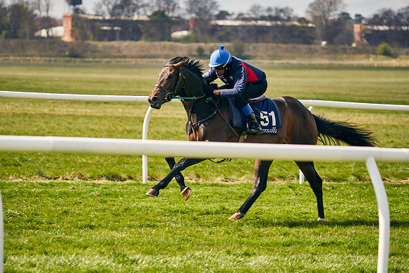 2021-04-12-Dominic-James-Craven-Breeze-Up-Sales-0680