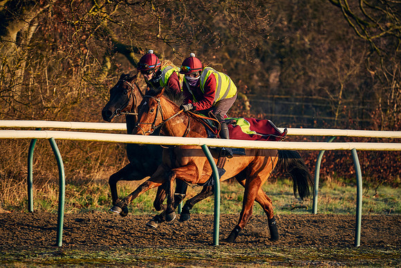 2021-02-27-Dominic-James-2308