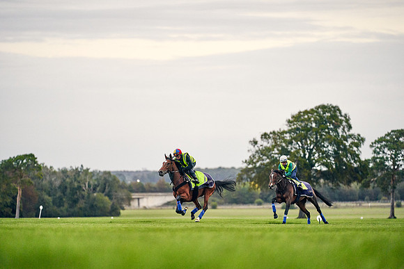 26th-Sept-Dominic-James-02581-enable
