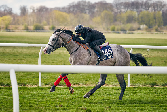 2021-04-12-Dominic-James-Craven-Breeze-Up-Sales-0670
