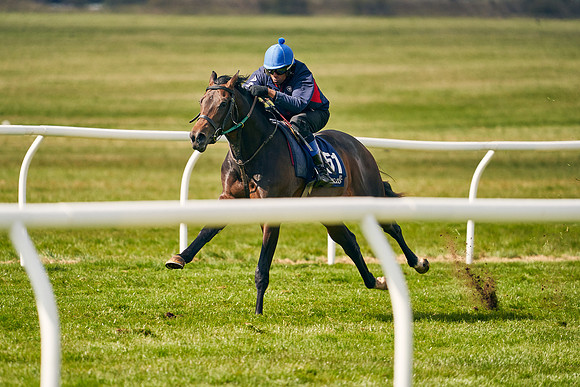 2021-04-12-Dominic-James-Craven-Breeze-Up-Sales-0679