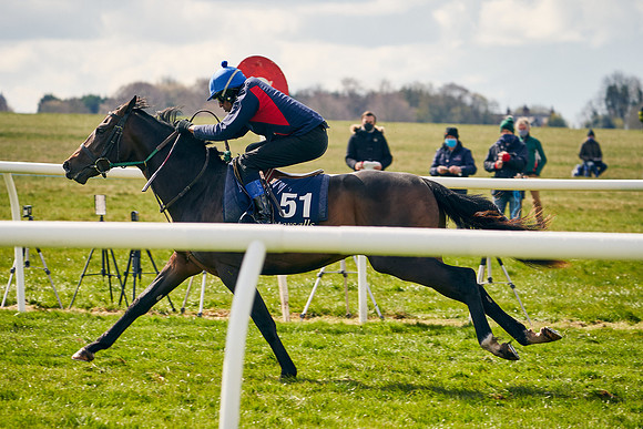 2021-04-12-Dominic-James-Craven-Breeze-Up-Sales-0688