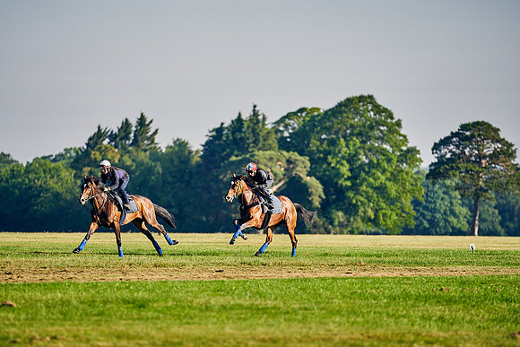 16th-June-Dominic-James-0560-enable